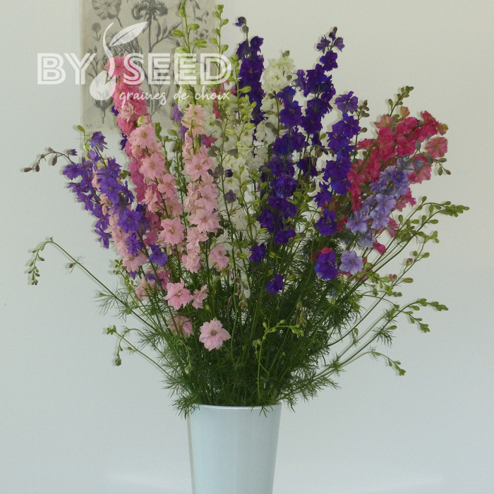 Pied d'alouette annuel Imperial QIS® Formula Mix