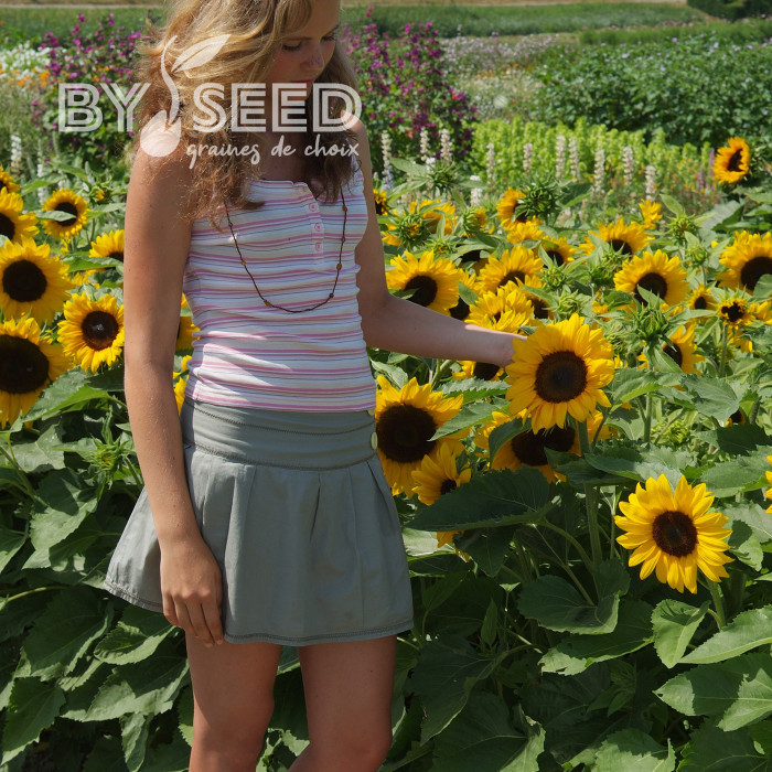 Tournesol nain Little Dorrit F1