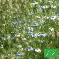 Nigelle de Damas Mixed BIO