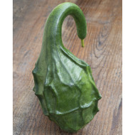 Calebasse (Gourde-bouteille) Dinosaur