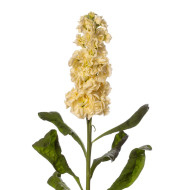 Giroflée quarantaine Stox® Yellow