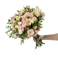 Lisianthus F1 LisAdora® Light Pink III (graines enrobées)