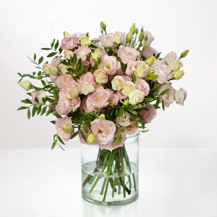 Lisianthus F1 LisAdora® Light Pink III (graines enrobées)