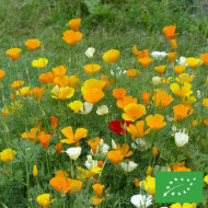 Pavot de Californie Garden Mix BIO