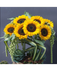 Tournesol F1 Sunrich® Lemon