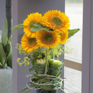 Tournesol F1 Sunrich® Gold