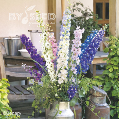 Delphinium Pacific Giants Round Table Formula Mix