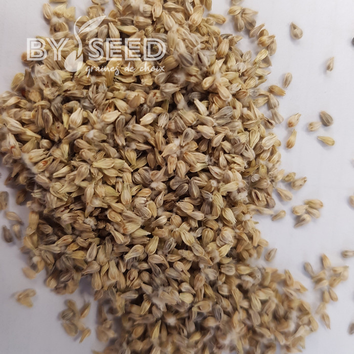 Gomphrena globosa QIS® Formula Mixture