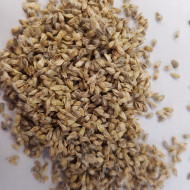 Gomphrena globosa QIS® Formula Mixture