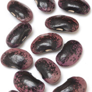 Haricot d'Espagne Black Knight