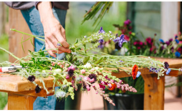 Extrait de collection : Fleurs coupées et fleurs séchées