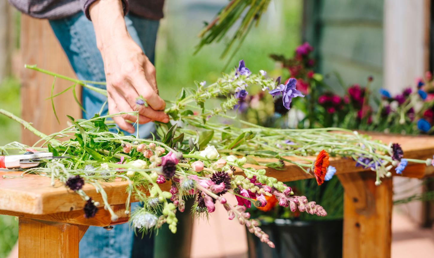 Extrait de collection : Fleurs coupées et fleurs séchées